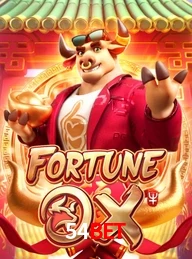 54BET.COM