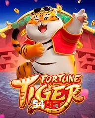 54BET.COM